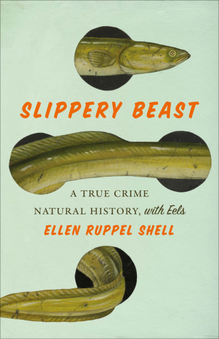 Imagen de portada: Slippery Beast 9781419765858