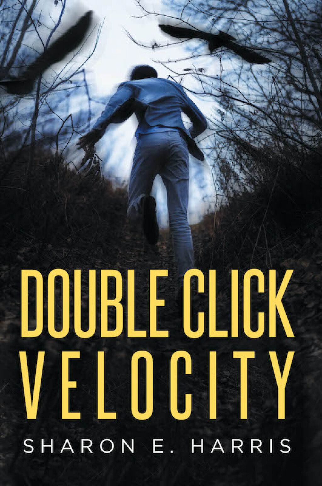Double Click Velocity