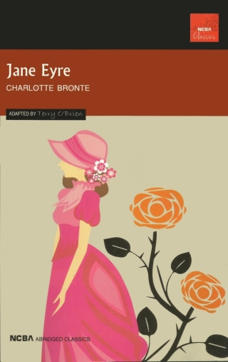 Imagen de portada: Jane Eyre 9781647252151