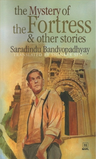 Cover image: The Mystery of the Fortress & Other Stories 9781647252519