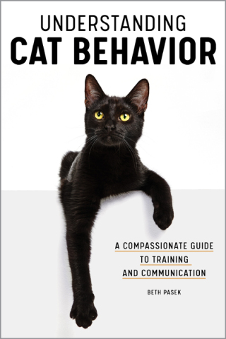 Titelbild: Understanding Cat Behavior 9781647396145