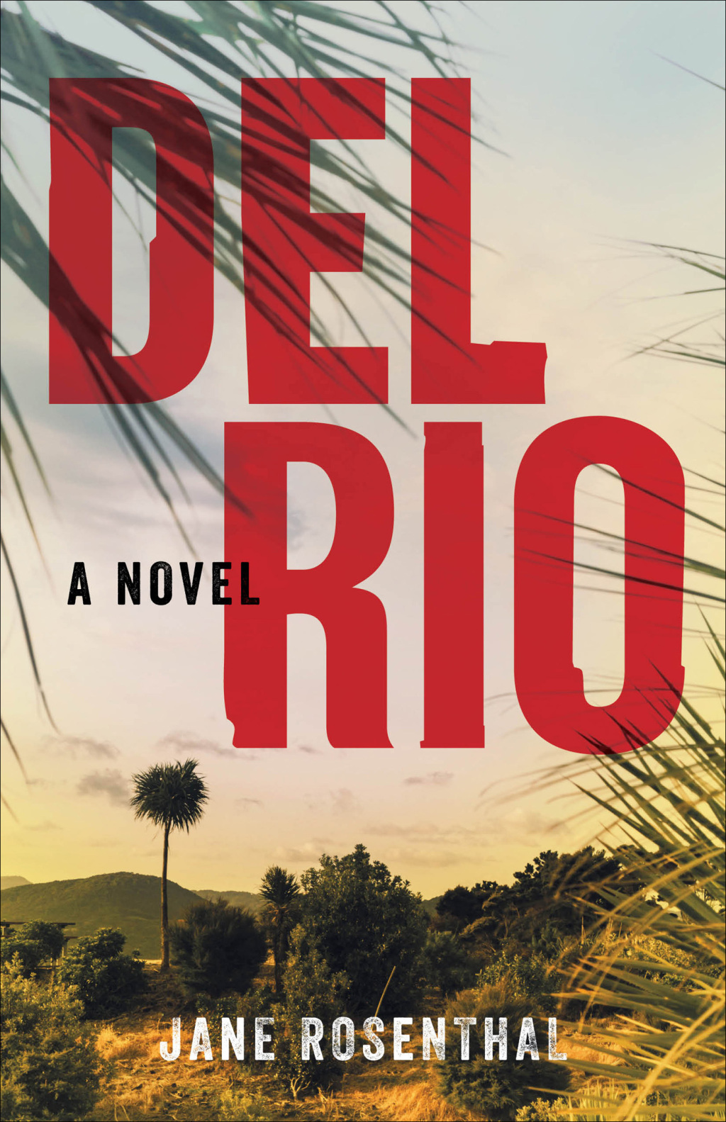 Del Rio A Novel