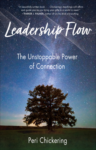 Imagen de portada: Leadership Flow 9781647421519