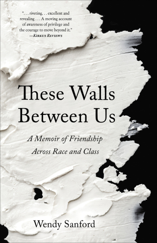 Cover image: These Walls Between Us 9781647421670