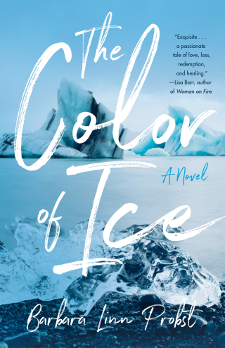 Cover image: The Color of Ice 9781647422592