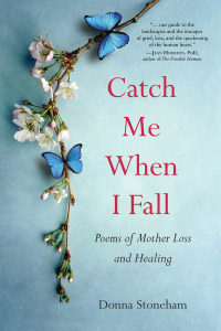 Cover image: Catch Me When I Fall 9781647424282