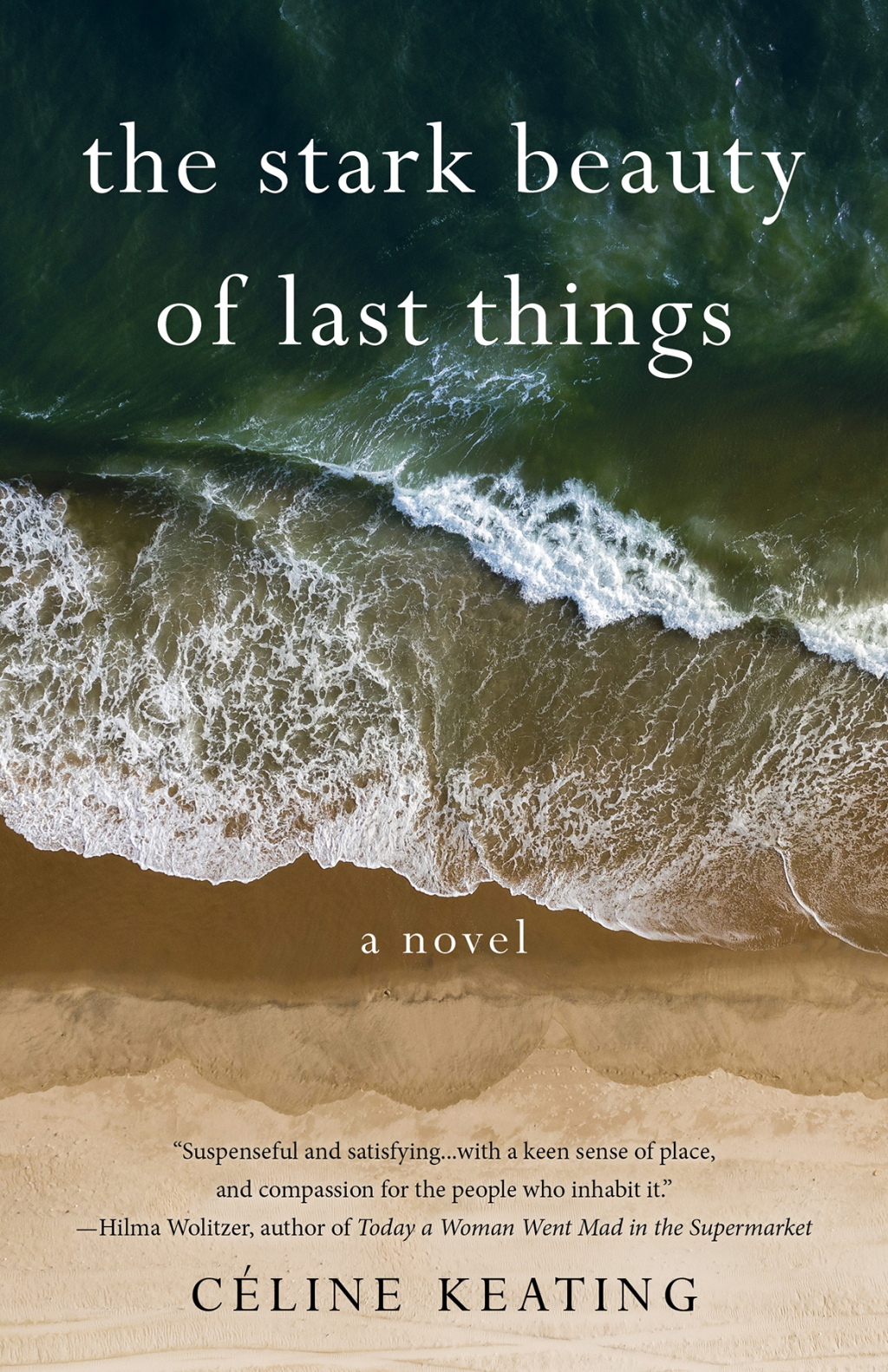 The Stark Beauty of Last Things eBook