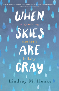 Cover image: When Skies Are Gray 9781647426309