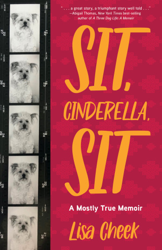 Imagen de portada: Sit, Cinderella, Sit 9781647427283