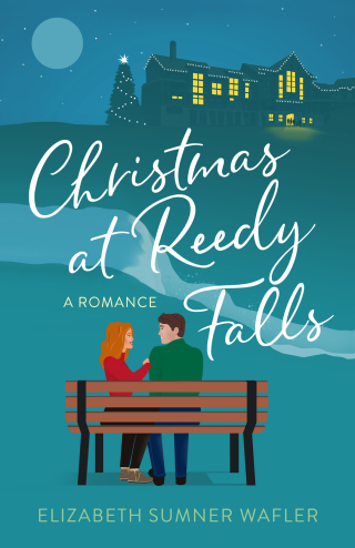 Cover image: Christmas at Reedy Falls 9781647428068