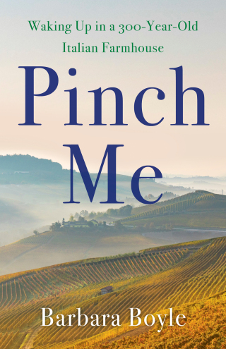 Imagen de portada: Pinch Me 9781647428327