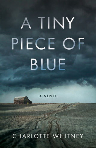 Cover image: A Tiny Piece of Blue 9781647428365