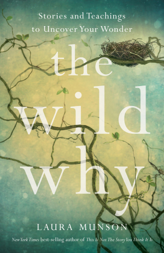 Cover image: The Wild Why 9781647428389