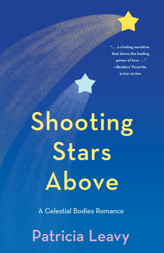 Cover image: Shooting Stars Above 9781647428549