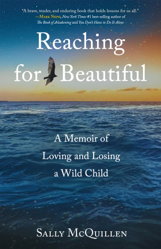 Cover image: Reaching for Beautiful 9781647428600