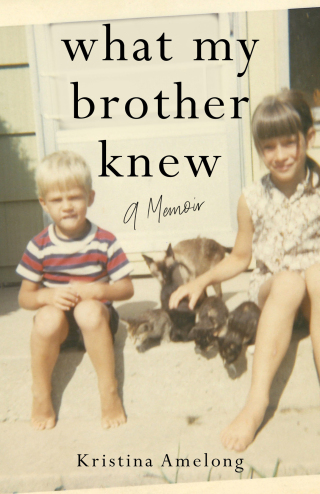 Cover image: What My Brother Knew 9781647429089