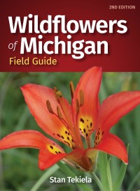 Omslagafbeelding: Wildflowers of Michigan Field Guide 2nd edition 9781647551001