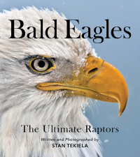 Cover image: Bald Eagles 9781647551452