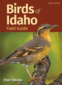 表紙画像: Birds of Idaho Field Guide 2nd edition 9781647551483
