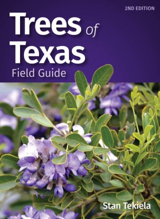 Cover image: Trees of Texas Field Guide 2nd edition 9781647552190