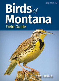 صورة الغلاف: Birds of Montana Field Guide 2nd edition 9781647553012