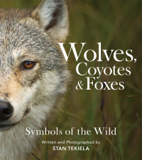 Imagen de portada: Wolves, Coyotes & Foxes 9781647553159