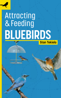 Cover image: Attracting & Feeding Bluebirds 2nd edition 9781647553296