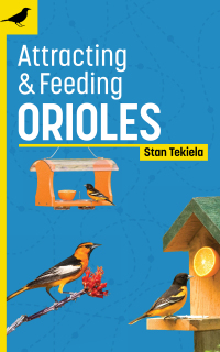 Omslagafbeelding: Attracting & Feeding Orioles 2nd edition 9781647553371