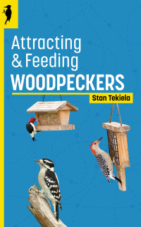 表紙画像: Attracting & Feeding Woodpeckers 2nd edition 9781647553395