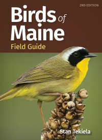 Omslagafbeelding: Birds of Maine Field Guide 2nd edition 9781647553685