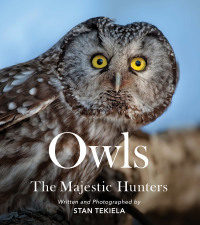 Cover image: Owls 9781647553845