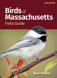 Omslagafbeelding: Birds of Massachusetts Field Guide 2nd edition 9781647554033