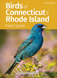 صورة الغلاف: Birds of Connecticut & Rhode Island Field Guide 2nd edition 9781647554057