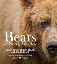 Cover image: Bears of North America 9781647554132