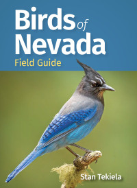Omslagafbeelding: Birds of Nevada Field Guide 9781647554217