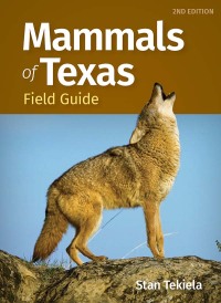 表紙画像: Mammals of Texas Field Guide 2nd edition 9781647554255
