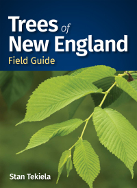 Imagen de portada: Trees of New England Field Guide 9781647554538