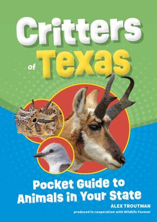 صورة الغلاف: Critters of Texas 2nd edition 9781647554644
