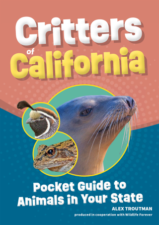 Cover image: Critters of California 9781647554996