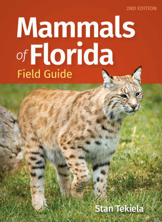Cover image: Mammals of Florida Field Guide 2nd edition 9781647555139