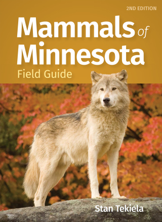 Cover image: Mammals of Minnesota Field Guide 2nd edition 9781647555160