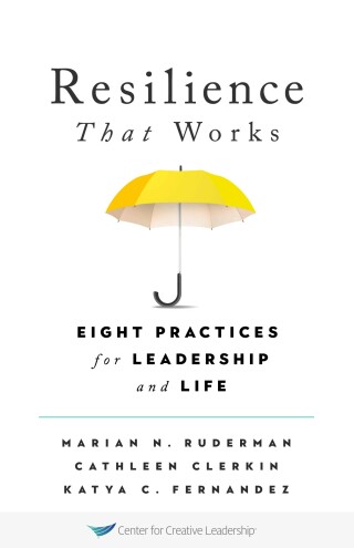 Cover image: Resilience That Works: Eight Practices for Leadership and Life 9781647610159