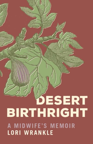 Imagen de portada: Desert Birthright 9781647692483
