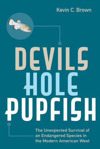 Cover image: Devils Hole Pupfish 9781647790103