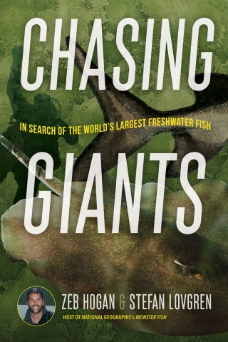 Omslagafbeelding: Chasing Giants 9781647790578