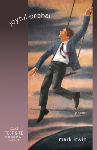 表紙画像: Joyful Orphan 9781647790943