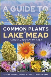Imagen de portada: A Guide to Common Plants of Lake Mead National Recreation Area 9781647790981