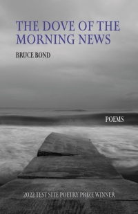 Cover image: The Dove of the Morning News 9781647791735