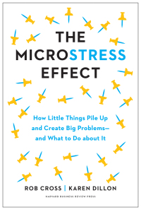 Cover image: The Microstress Effect 9781647823979