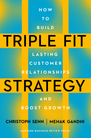 Cover image: Triple Fit Strategy 9781647827144